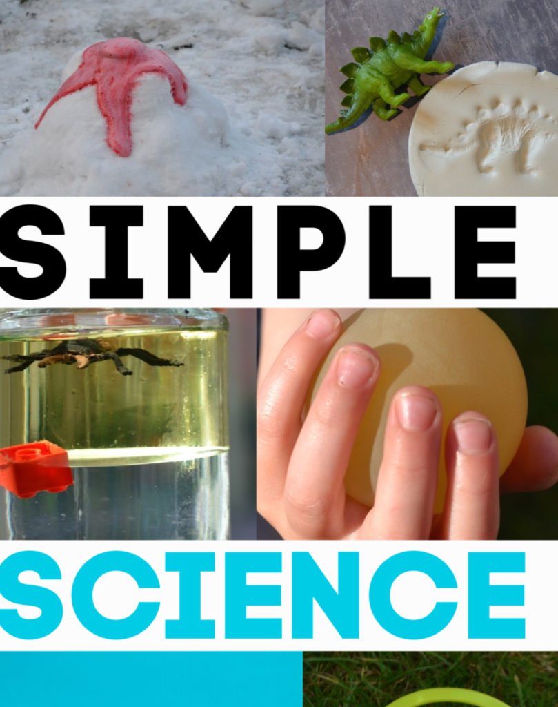 5 Creative STEAM Craft Projects for National Science Day